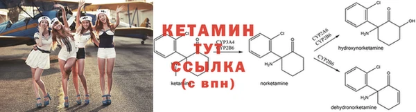 ГАЛЛЮЦИНОГЕННЫЕ ГРИБЫ Богородицк