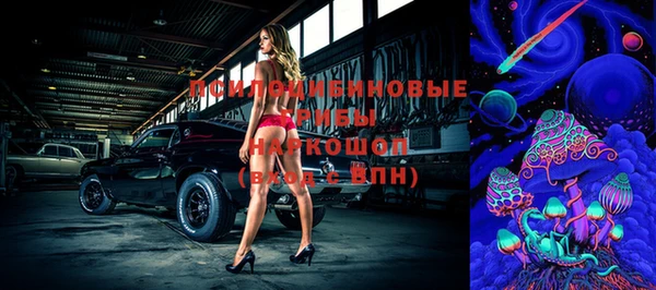 героин Богданович