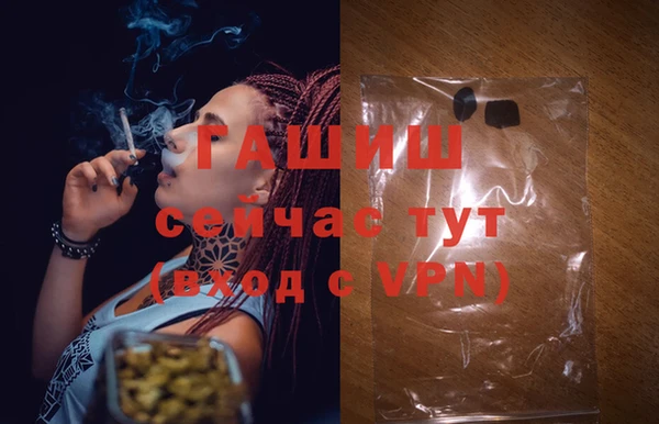 стаф Богородск