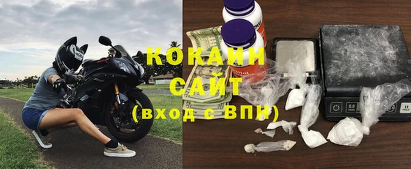 стаф Богородск