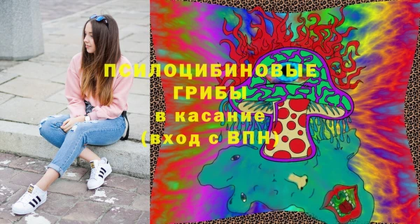 стаф Богородск