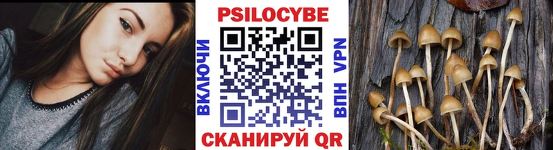 kraken ССЫЛКА  Волжск  Галлюциногенные грибы Psilocybe  где купить наркотик 