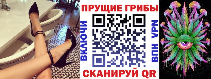 Галлюциногенные грибы Cubensis Волжск